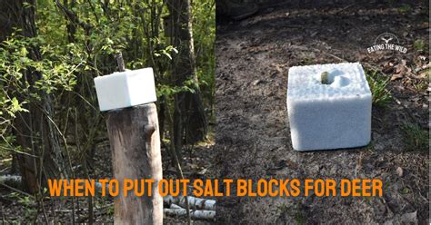 Are salt blocks legal in Indiana?