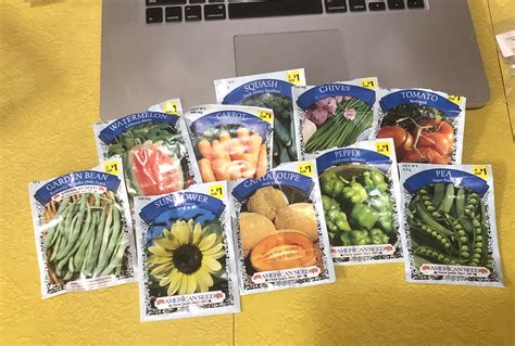 Are seeds cheaper at JojaMart?