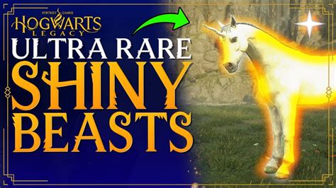 Are shiny beasts rare?