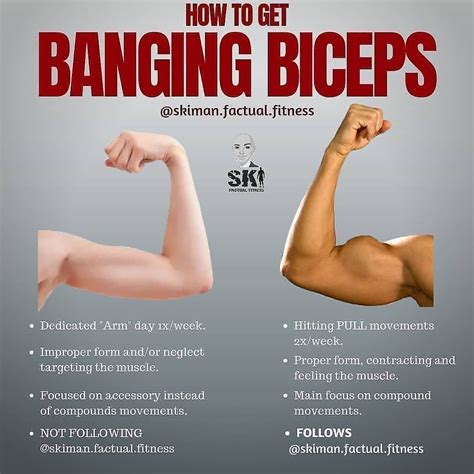 Are short biceps stronger?