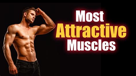 Are shoulders the most attractive muscle?