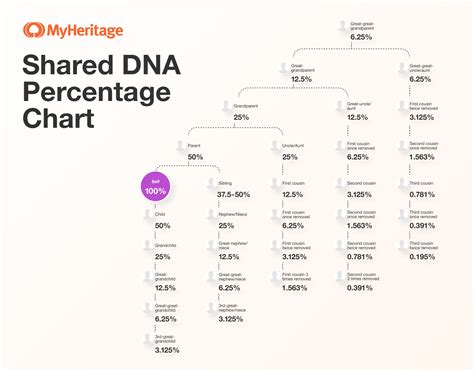 Are siblings 100% DNA?