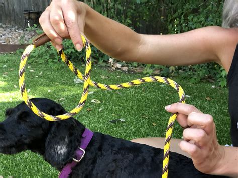 Are slip leads bad for dogs necks?