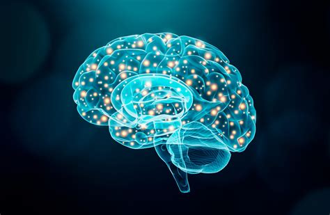 Are smaller brains smarter?