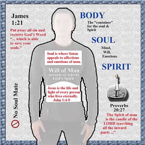 Are souls in the Bible?