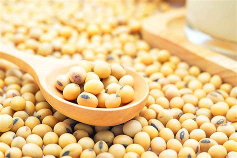 Are soy beans complete protein?