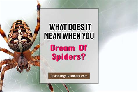 Are spiders good in dreams?