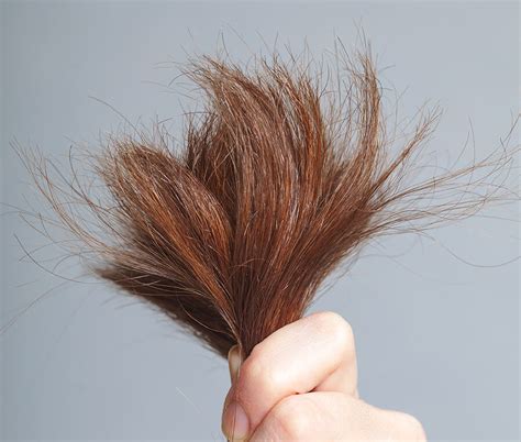 Are split ends really a big deal?