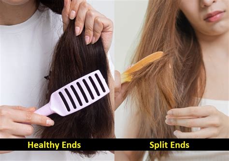 Are split ends reversible?