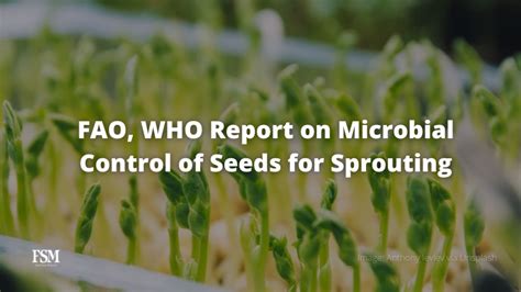 Are sprouts a risk for E. coli?