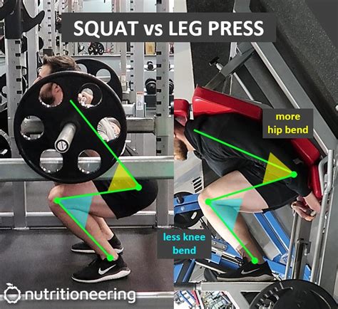 Are squats more effective than leg press?