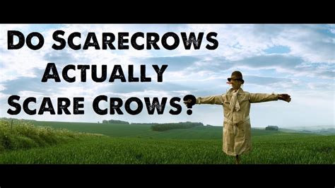 Are squirrels afraid of scarecrows?