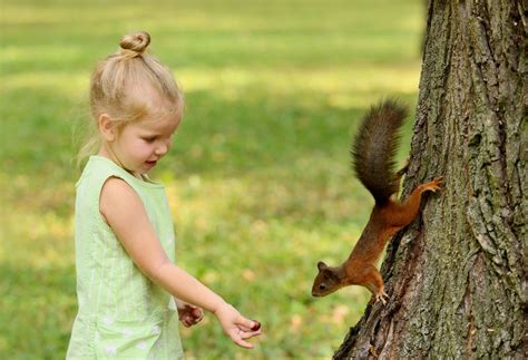 Are squirrels loyal to humans?