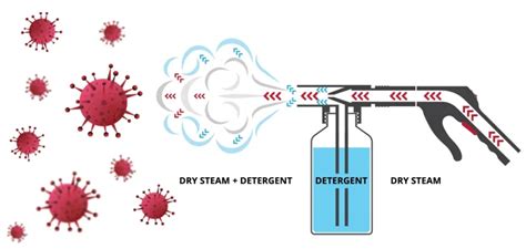 Are steam rooms full of bacteria?