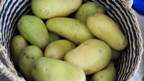 Are sunburned potatoes safe to eat?