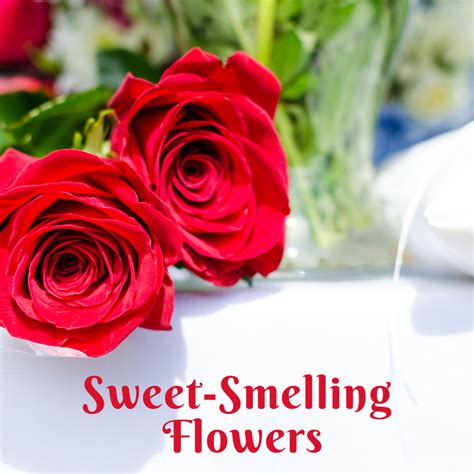 Are sweet smells attractive?
