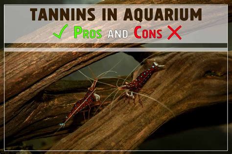 Are tannins good for reptiles?