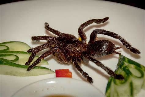 Are tarantulas edible?