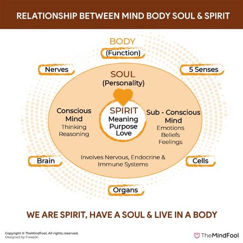 Are the mind body and soul connected?
