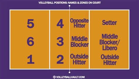 Are there 7 players in volleyball?