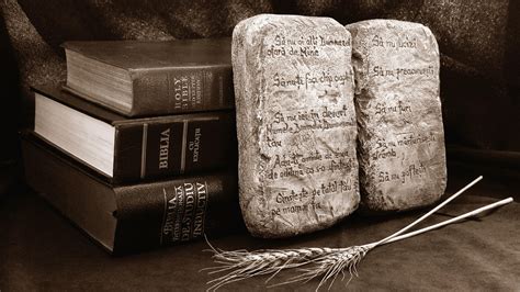 Are there any historical facts in the Bible?