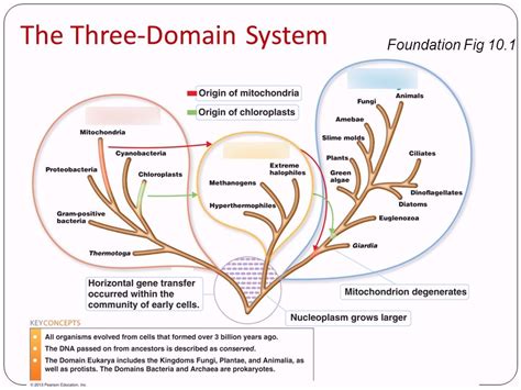 Are there only 3 domains?