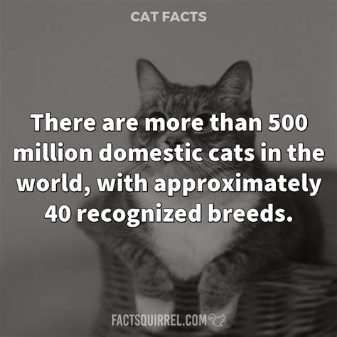 Are there over 500 million pet cats?