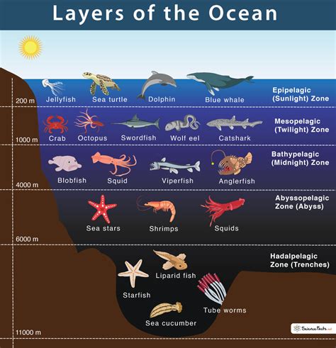 Are there parts of the ocean without oxygen?