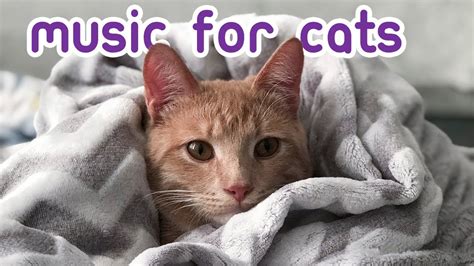 Are there sounds that soothe cats?