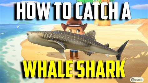 Are there whales in ACNH?