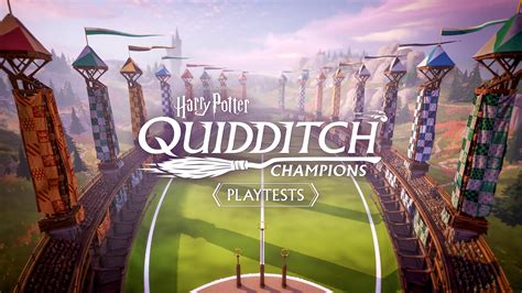 Are they making a Harry Potter Quidditch game?