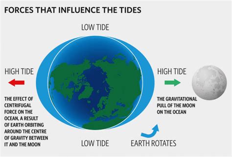 Are tides an hour later each day?