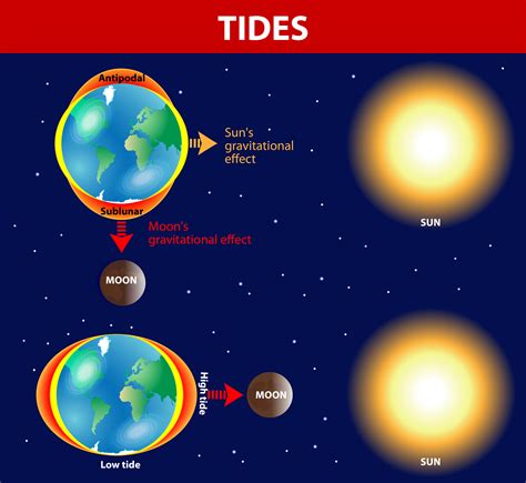 Are tides stronger at the equator?