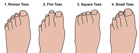 Are toe shapes hereditary?