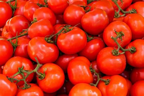 Are tomatoes high in sodium?