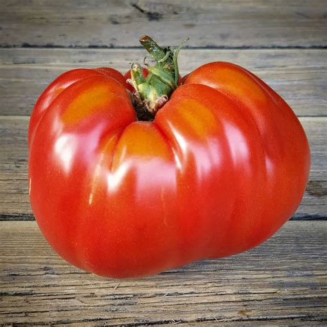 Are tomatoes kosher?