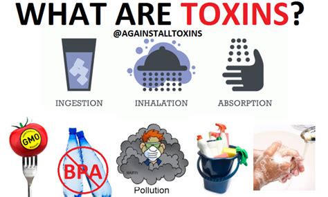 Are toxins reversible?