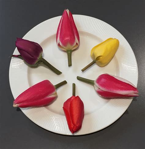 Are tulips edible for humans?