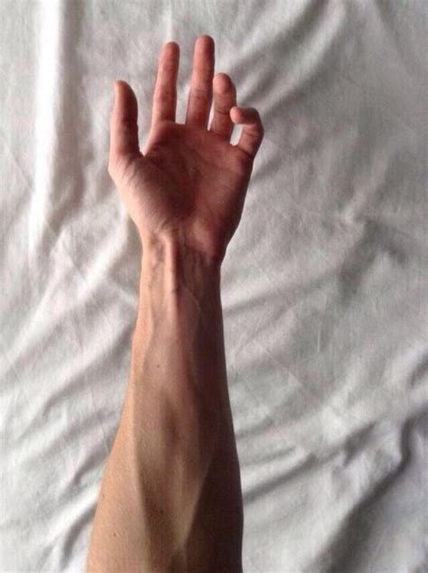 Are veiny arms attractive?