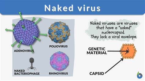 Are viruses very tiny?