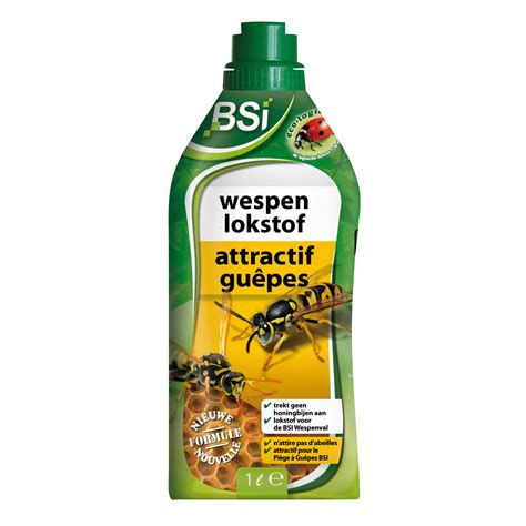 Are wasps attracted to Pepsi?