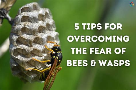 Are wasps attracted to fear?