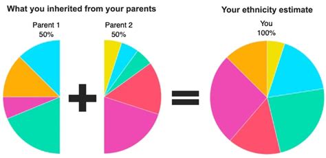 Are we 50 percent of each parent?