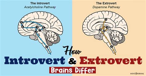Are we born introvert or extrovert?