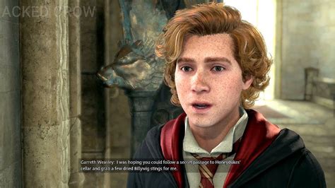 Are weasleys in Hogwarts Legacy?