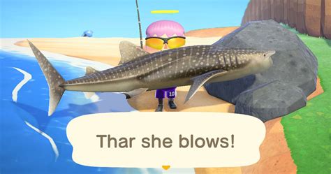 Are whale sharks in Animal Crossing?