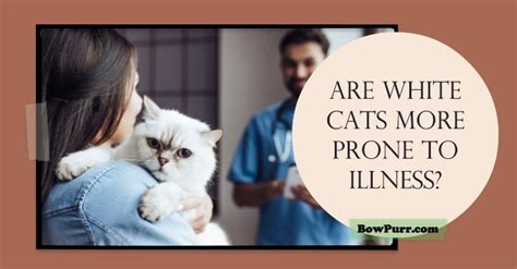 Are white cats more prone to illness?