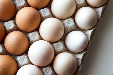 Are white eggs unfertilized?