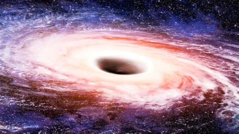 Are white holes real?