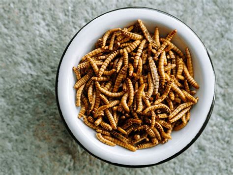 Are worms OK to eat?